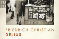 Friedrich Christian Delius. Die Zukunft der Schönheit. Rowohlt Verlag.