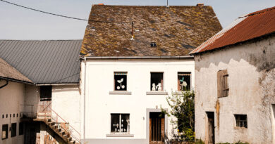 „Schloss Hemingstein“ in Buchet. Foto: Udo Weier.